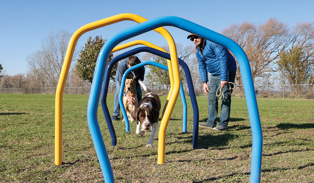 Play4Pups™
